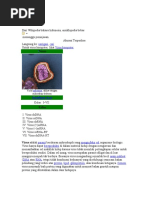 Download Virus by inboxampunandrie SN37606085 doc pdf
