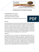 Fenomenologia 1 PDF