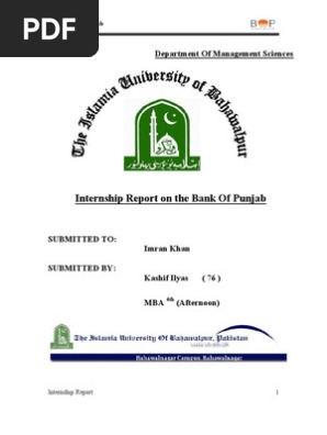 Internship Report On Bank Of Punjab 2009 By Kashif Mba Finance