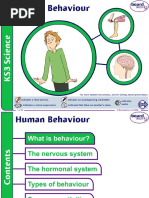 Year 9 Science Exam Revision Answers - Sets 1-5