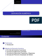D. Numérica.pdf