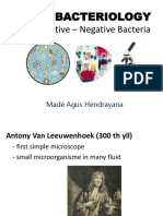 Gram Positive - Negative Bacteria: Basic Bacteriology