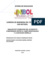 analisis de flexibilidad castellano.docx