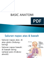 Basic Case Anatomi Respirasi