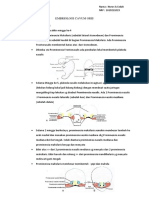 Embriologi Cavum Oral