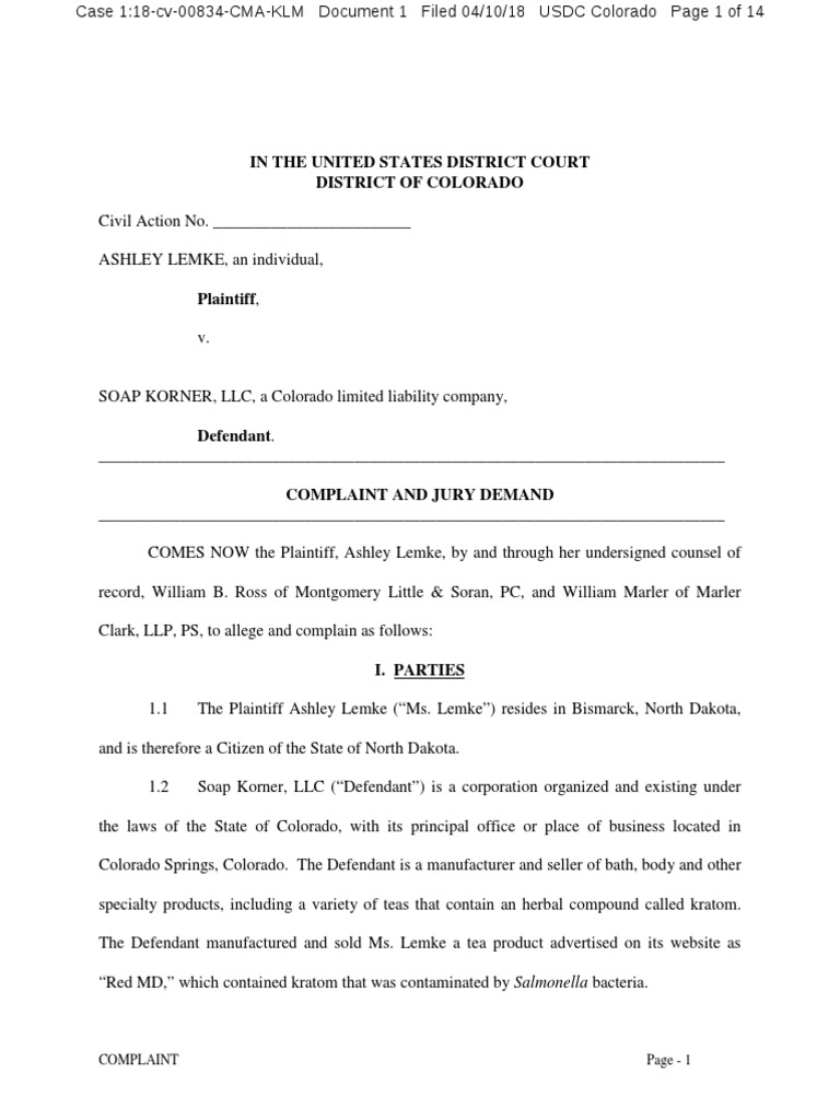 Ashley Lemke v. Soap Korner LLC PDF Negligence Public Health