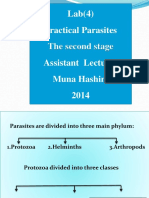 Lab (4) Practical Parasites The Second Stage Assistant Lecturer Muna Hashim 2014