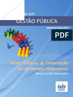Pnap-1 - Gestão de Redes Públicas de Cooperação Em Ambientes Federativos (1)