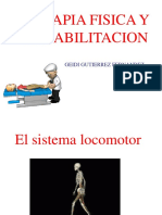 Terapia física y rehabilitación del sistema locomotor