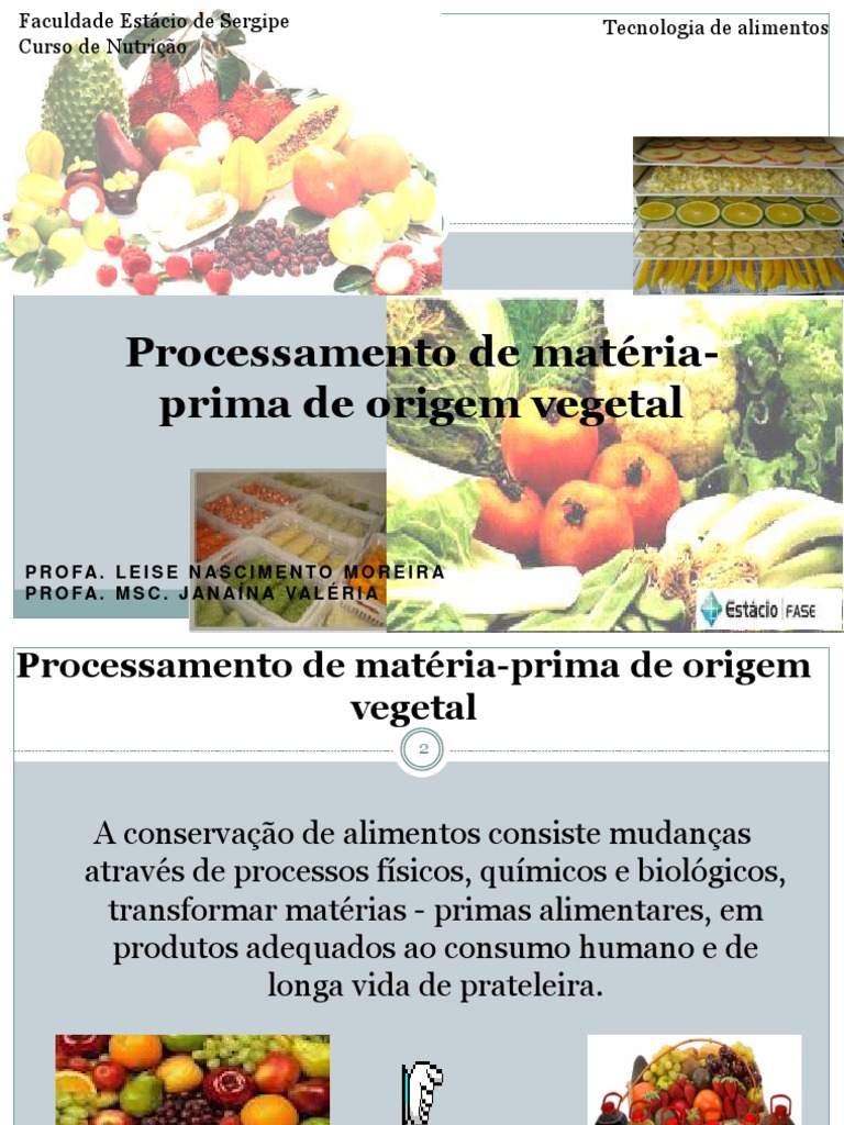 Processamento de Matéria-Prima Vegetal | PDF | Pães | Açúcar