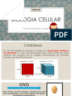 Aula 03 - Biologia Celular