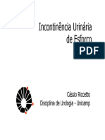 2002 - Incontinencia Urinaria de Esforco