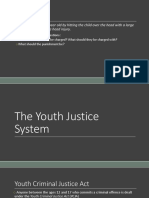 youth justice system 