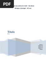 Documento Base Para Relatorio Bg