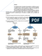 Actividad 1 - Homeostasis.pdf