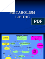 Metabolism Lipidic MD