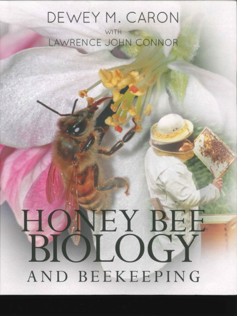 Honey Bee Biology and Beekeeping Chapter 3 | PDF