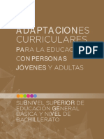 EPJA_Adaptaciones-curriculares_Introduccion-general.pdf