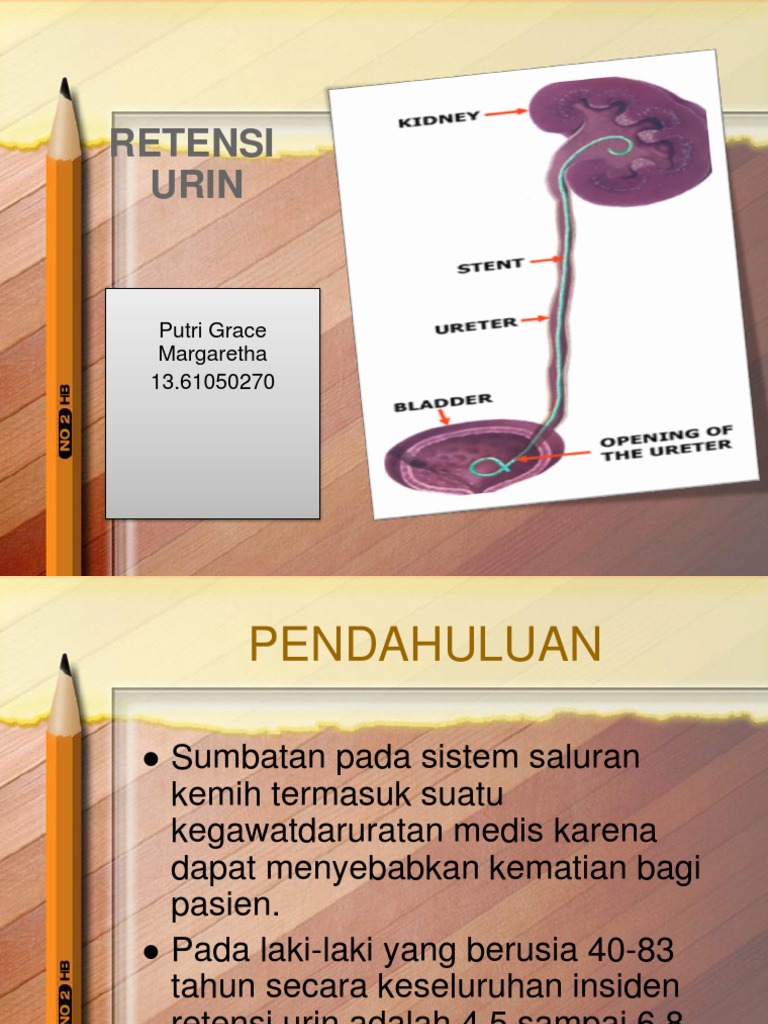 Retensi Urin PDF Sains & Matematika