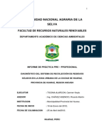 Diagnostico Del Sistema de Recoleccion de Residuos Solidos en La Zona Urbana de La Ciudad de Huaraz