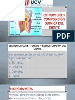 Composición química y estructura de los dientes