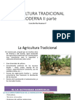 AGRICULTURA TRADICIONal y moderna.pptx