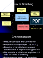 13. Lung Physiology and Image (1)