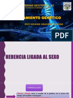 MEJORAMIENTO GENETICO 