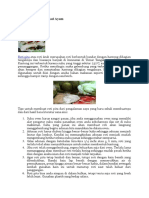 Resep yunani.docx