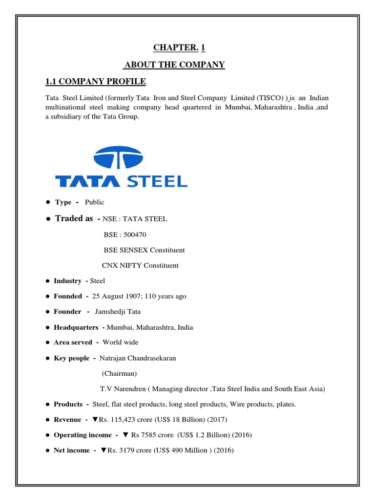 Project On Tata Steel | PDF | Economies | Corporations