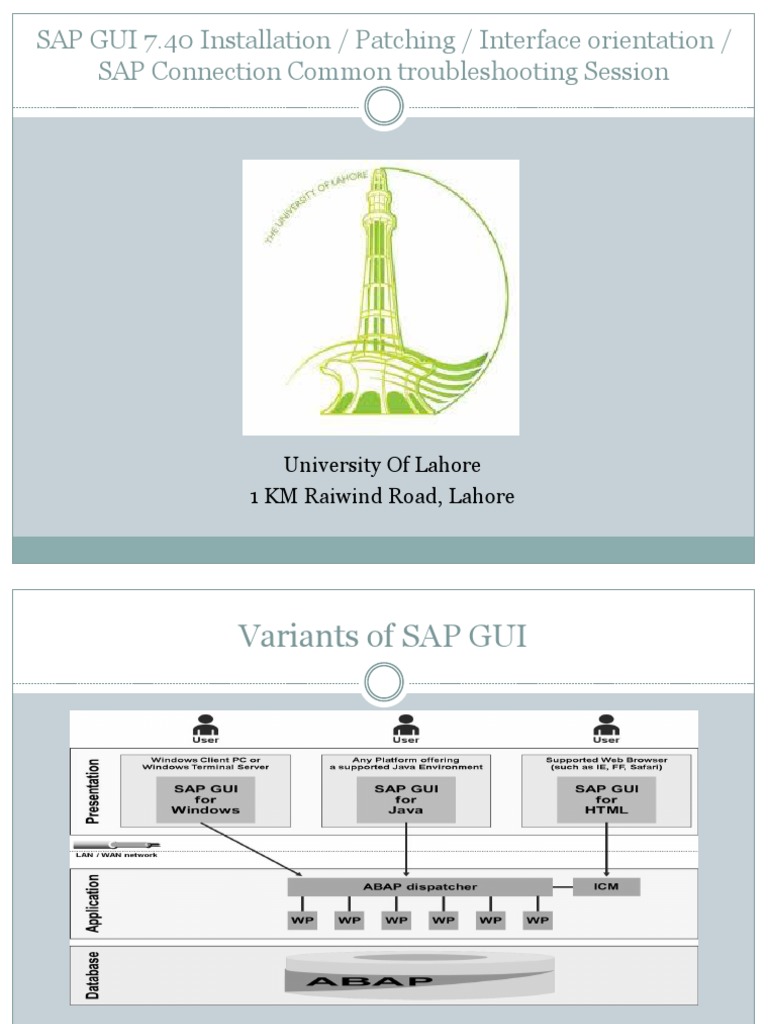 SAP GUI Installation and Configuration | PDF