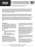 Enviando Tomatoes Greenhouse Pruning String Trellis Instructions