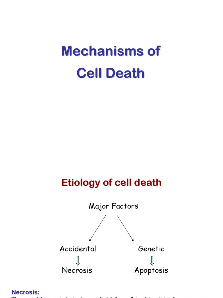 Mechanisms of Cell Death: Necrosis & Apoptosis | PDF | Apoptosis | Necrosis