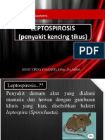 Askep Leptospirosis