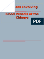 Diseases Involving Blood Vessels of The Kidneys