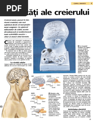 322900644 Corpul Omenesc Pdf