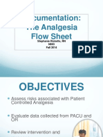 Documentation: The Analgesia Flow Sheet: Stephanie Ricketts, RN N693 Fall 2014
