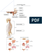 Actividad Biología 2