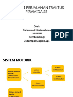 Sistem Motorik Sentral dan Traktus Piramidalis