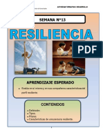 SEMANA 13 - Resiliencia
