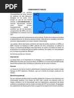 Estructura y función de la ribosa | PDF | Ciencia y matemáticas