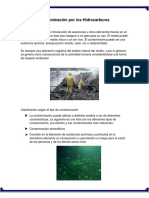 Contaminación Por Los Hidrocarburos