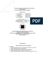 5 Laporan Praktikum Sistem Saraf Dan Panca Indera