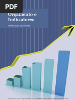 Orçamento e Indicadores.pdf