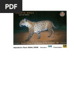 Conservação e Manejo de Grandes Felinos