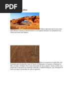 El Silicio Vegetal 1