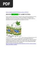 El Silicio Vegetal 4