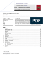 Shields2011.Diseasesmof Spiny Lobsters.a Review