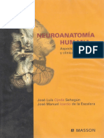 Ojeda Jose Luis - Neuroanatomia Humana - Aspectos Funcionales Y Clinicos