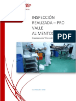 Informe de Inspecciones - Pro Valle Alimentos S.A.C